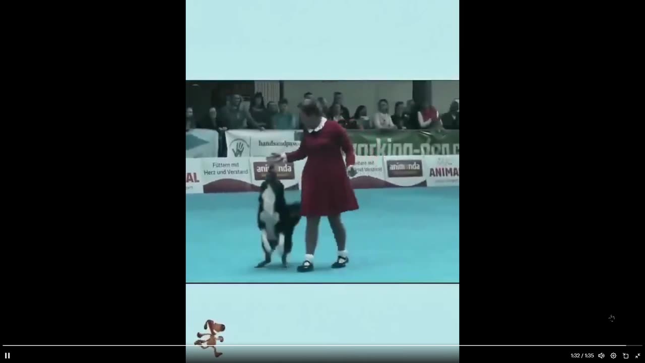 STILL - my 3rd favorite dog-human dance act
