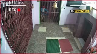Muzaffarnagar on Edge: Fearless Thieves Target Temple, CCTV Footage Exposes Ongoing Thefts