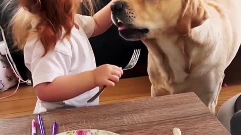 Little girl feeds her dog all her food