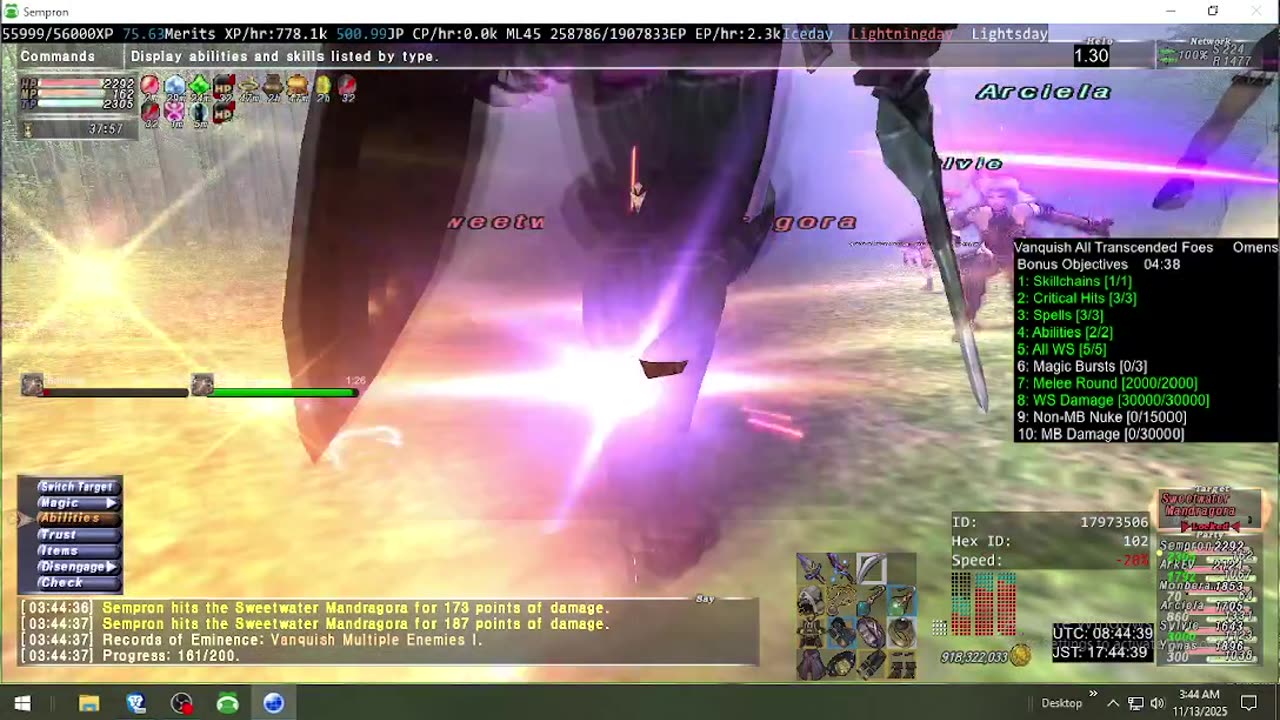 Playing Final Fantasy XI Online