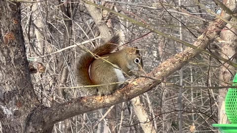 Toronto park visit compilation January 2nd 2026
