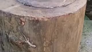 Teamwork