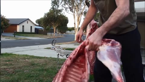 Pig hunting NZ
