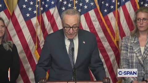MOMENTS AGO: Sen. Chuck Schumer Holds News Conference on Day 29 of Gov't Shutdown...