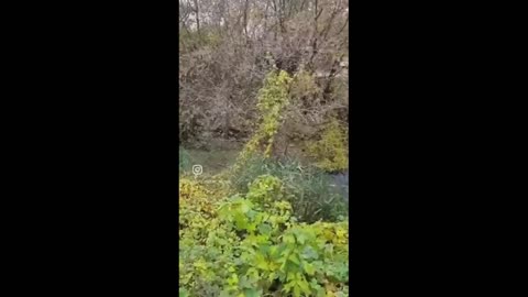 🚶‍♂️🌾 Ukraine Russia War | Man Stuck in Swamp While Fleeing in Poltava | RCF