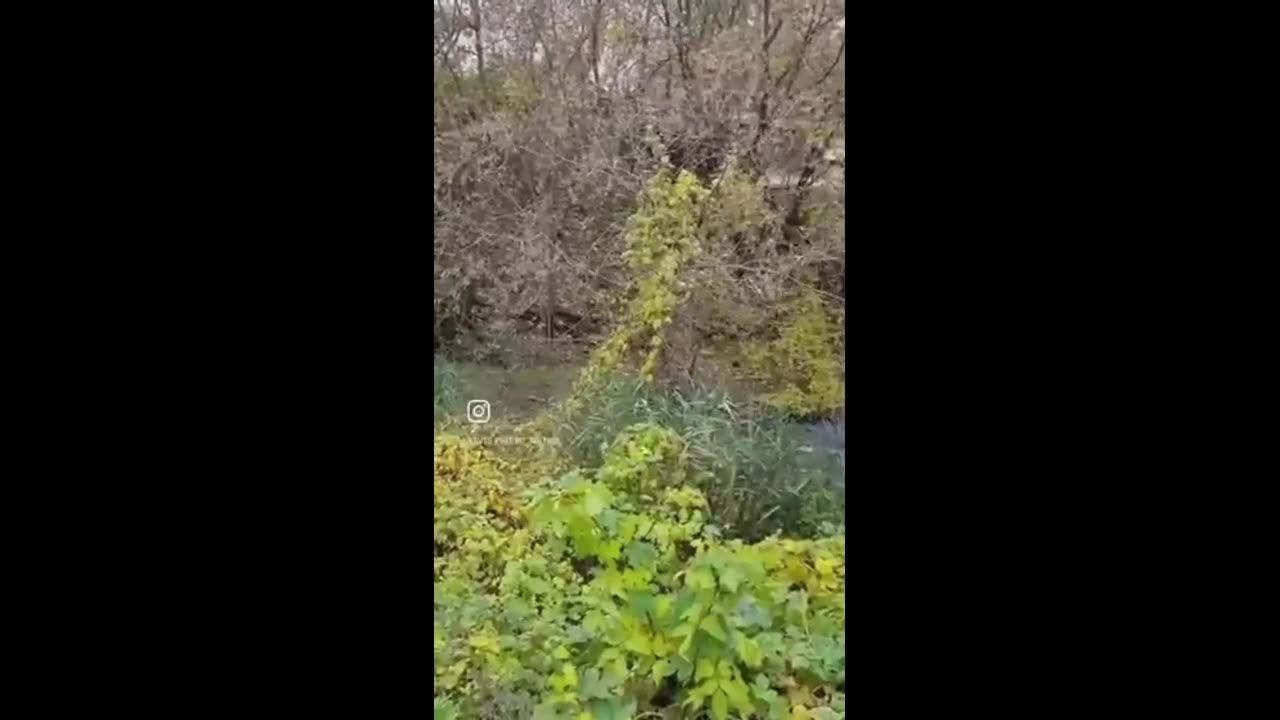 🚶‍♂️🌾 Ukraine Russia War | Man Stuck in Swamp While Fleeing in Poltava | RCF