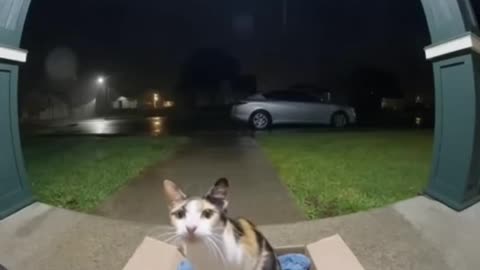 No Budy Expected This...