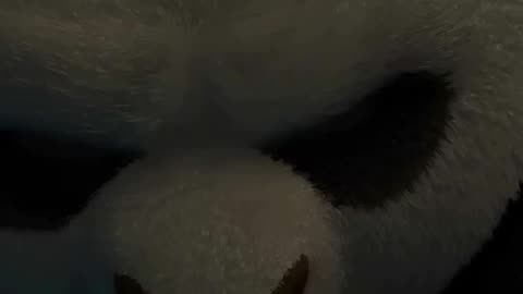 Kung fu panda