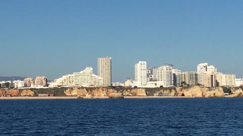 Sea Cave & Dolphin Watching Tour (Benagil, Algarve, Portugal) 39