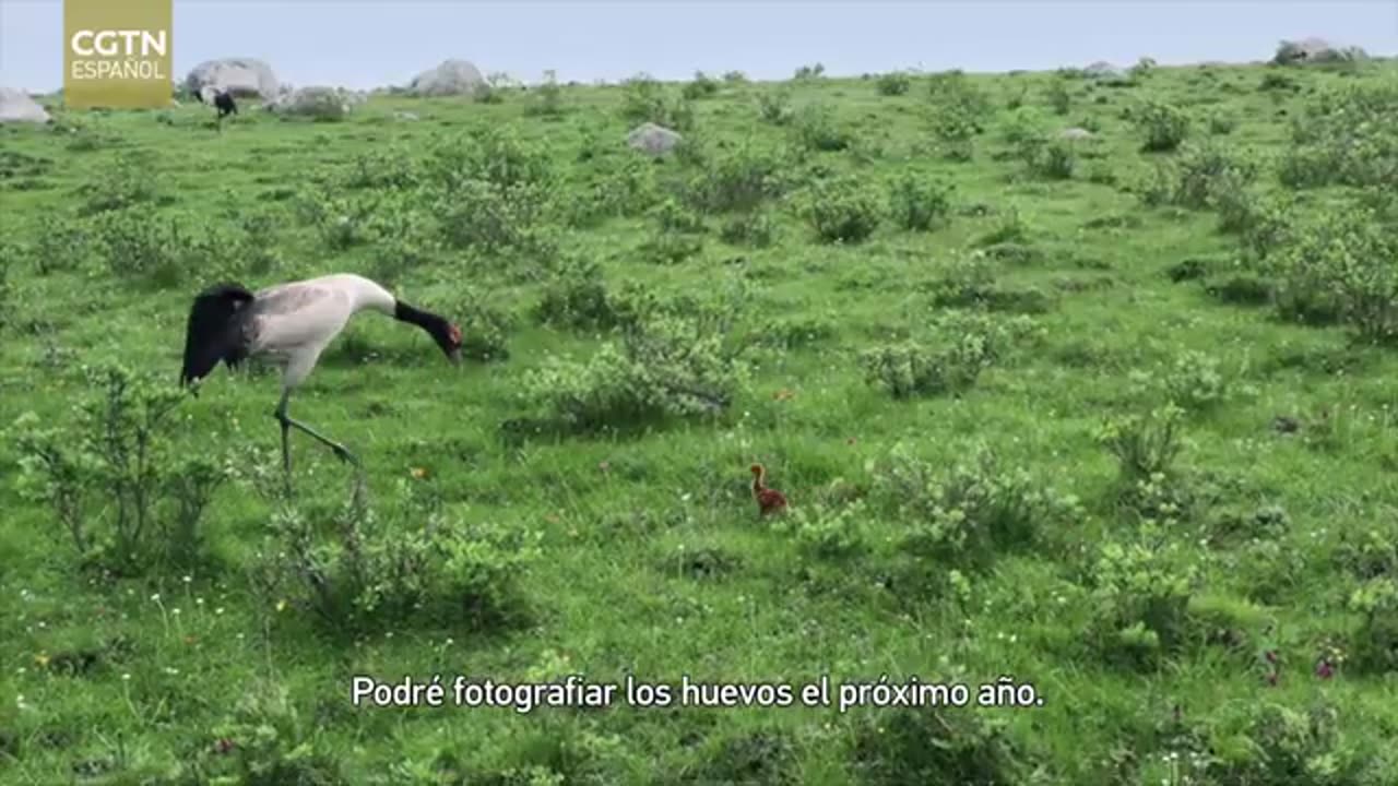 Encontrando el equilibrio