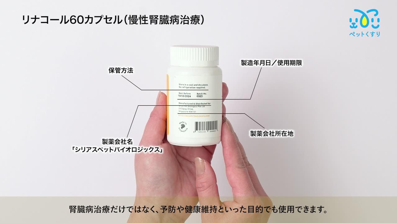 腎臓栄養学　新品未使用 送料無料の商品 腎臓栄養学 ｜朝倉書店 健康・医学 - 健康・医学