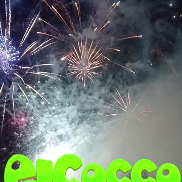 🎉🦜🎊 Join ElCocco the rapping parrot as he celebrates the successful start of his TGE! 🎊🦜🎉