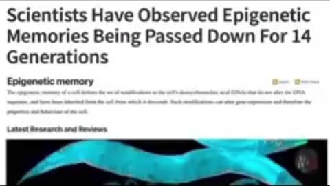 THEY CAPPED OUR LIFESPAN!