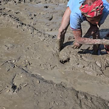 The Secret to Catching Fish by Hand in Your New Pond