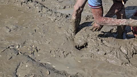 The Secret to Catching Fish by Hand in Your New Pond