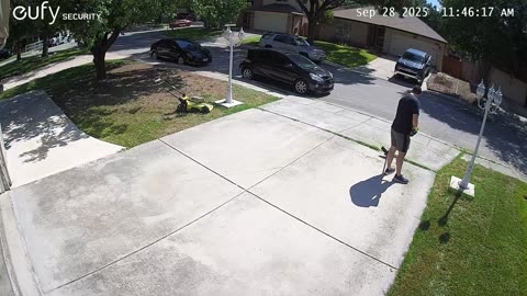 Bug Startles Man Doing Yard Work