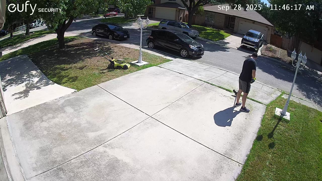 Bug Startles Man Doing Yard Work