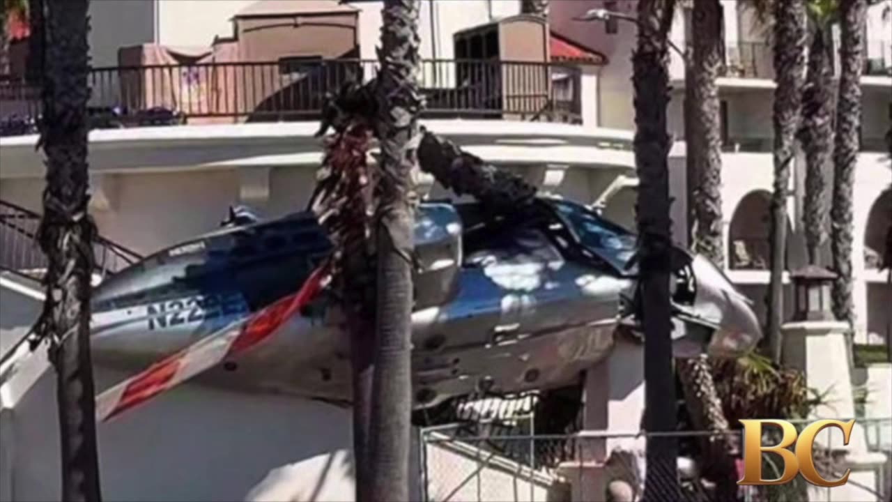 Helicopter spins out of control into palm trees at popular California beach