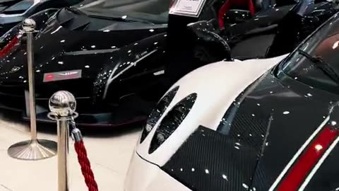 🏎️💨 The Ultimate Supercar Showdown: Chiron, Lamborghini, Ferrari, Bugatti! | LuxurySportsCars