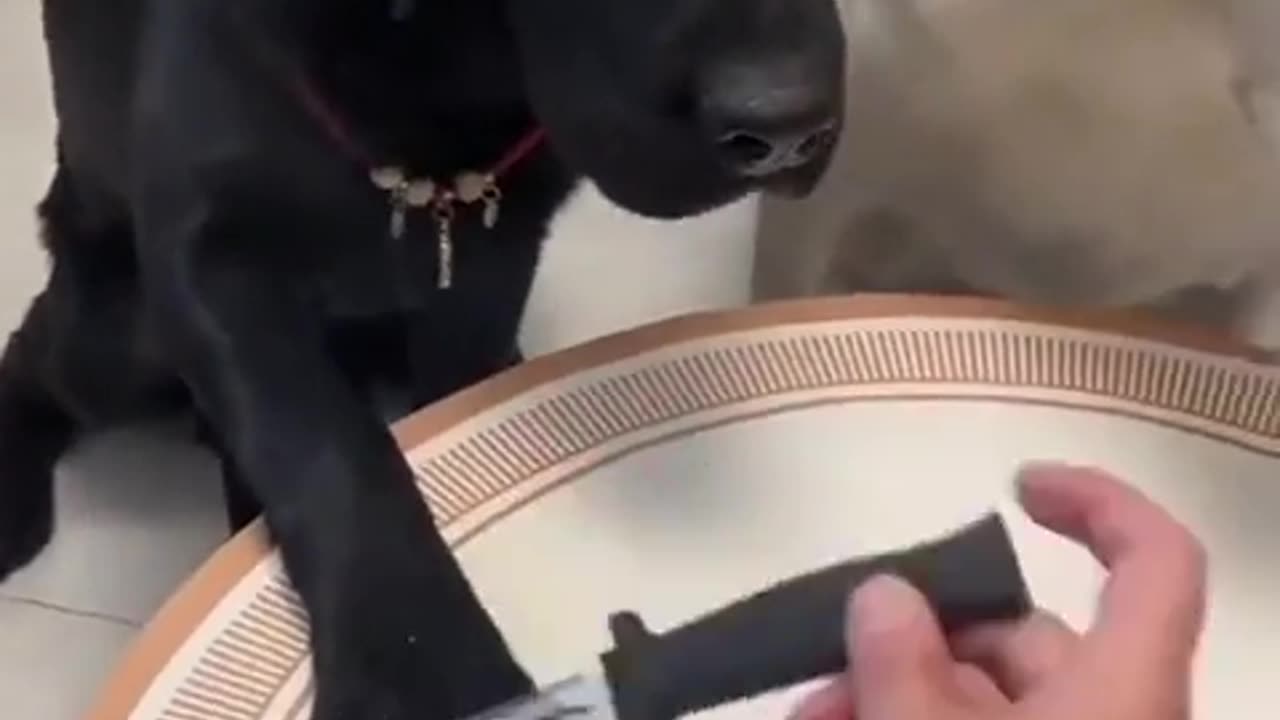 🤣🙌 Watch Him Nail It Like a Pro! I Can Do That | FunFM
