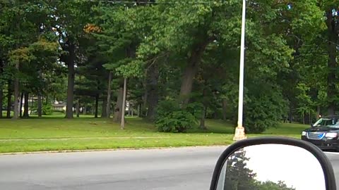 Ok, let_s start the Shea Show