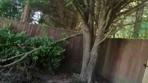 PM Cast: TOTAL TRANSFORMATION! 💥From Black Walls to White, Bad Lawn Jobs, and Fixing It All Myself!