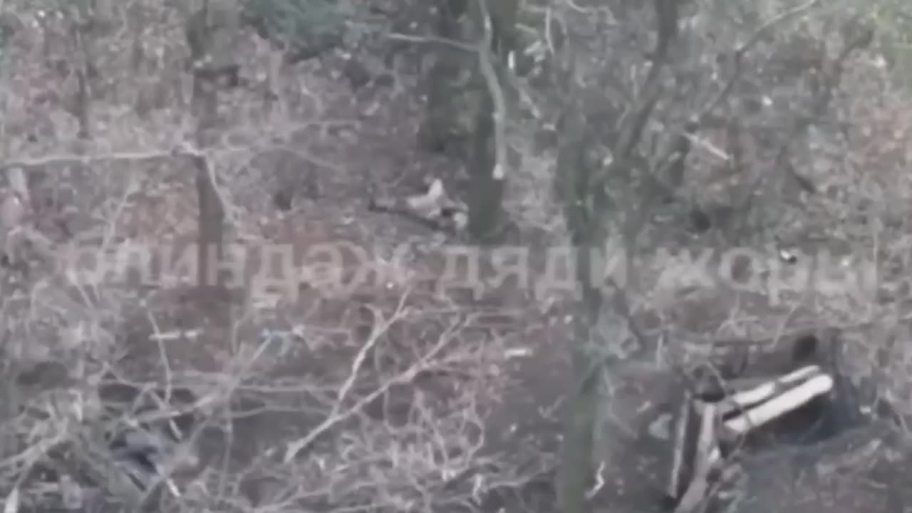 He shit himself and shot himself 🐷