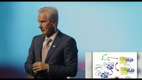 Bromelain & Curcumin: FDA-Approved Drugs Used as Supplements