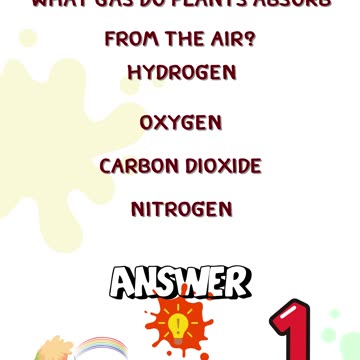 ❤️Fun quiz for kids! Try to gues EP.9🎁