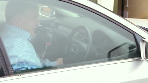 Jurassic bark_ Part one - Pet owners spending $135,000 to clone their dogs | 60 Minutes Australia