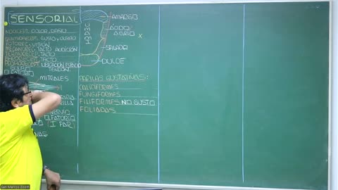 VONEX REPASO 2025 - 1 | Semana 09 | Anatomía