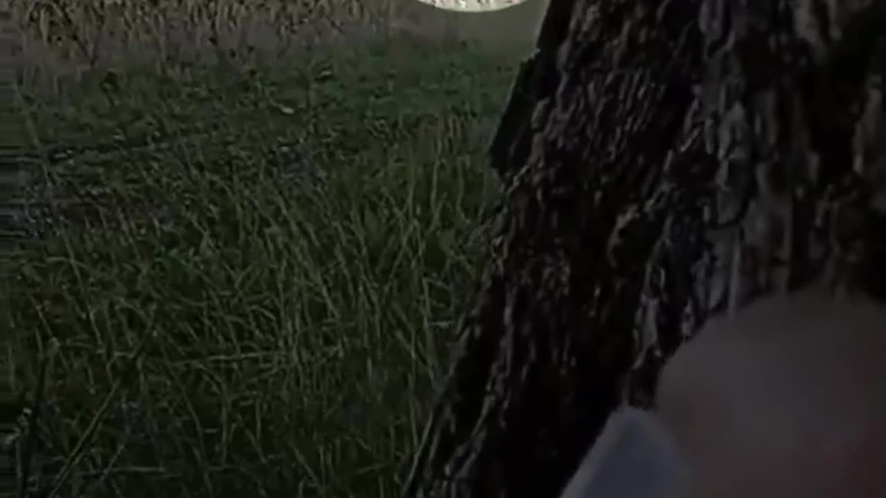 💣🔥 Ukraine War | Partisans Use IEDs to Kill Russian Guard Officers | RCF