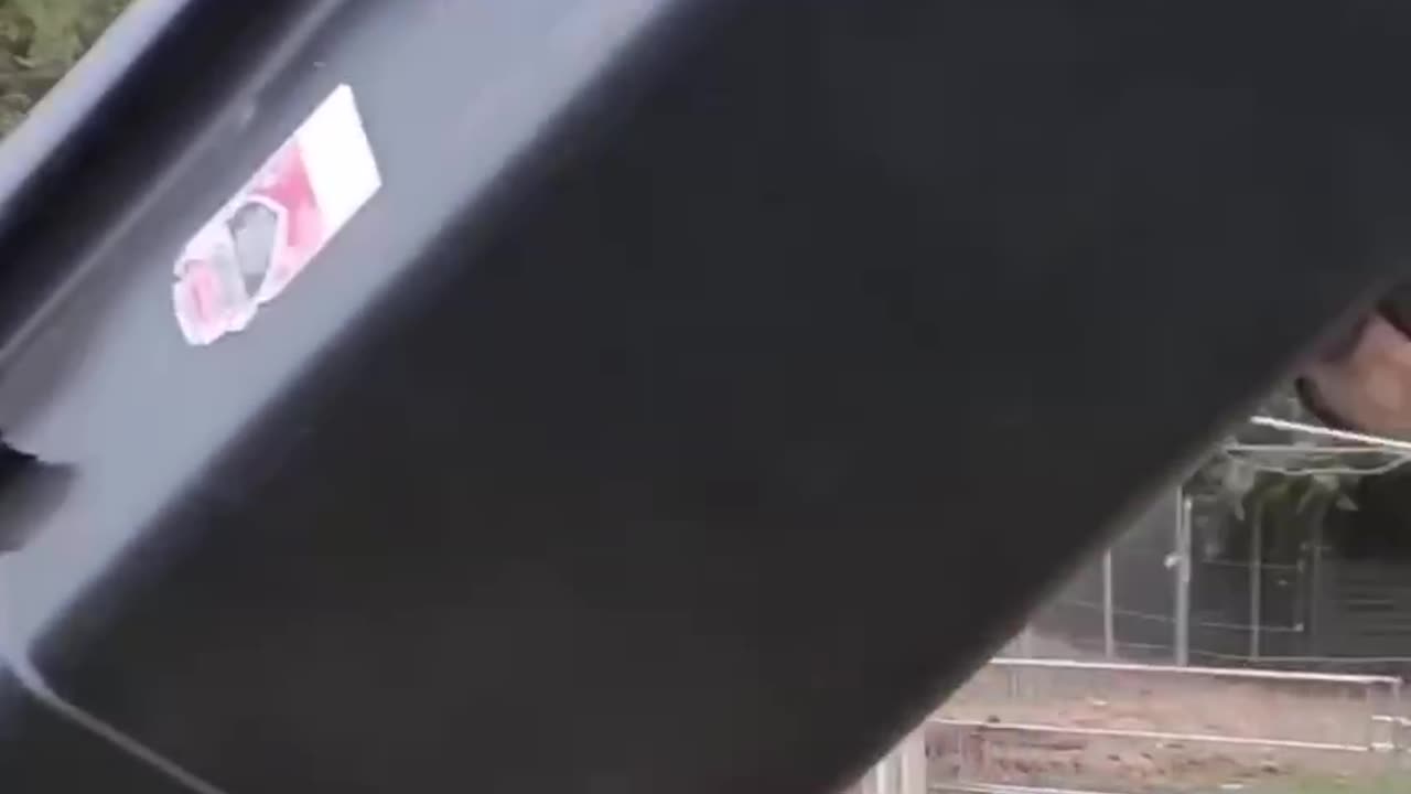 The Timeless Bond Between Humans and Horses 🐴 | Heartwarming Animal Story