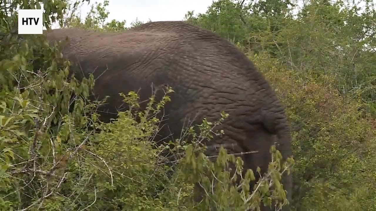 Capturing Earth’s Silent Stories