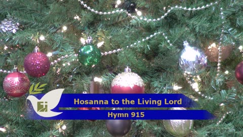 Worship From Mt. Olive Ev. Lutheran Church