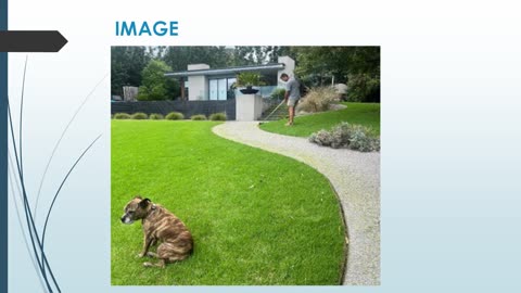 Best Garden Maintenance in Baxter