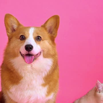 Voluntary Solitary song clip #indie