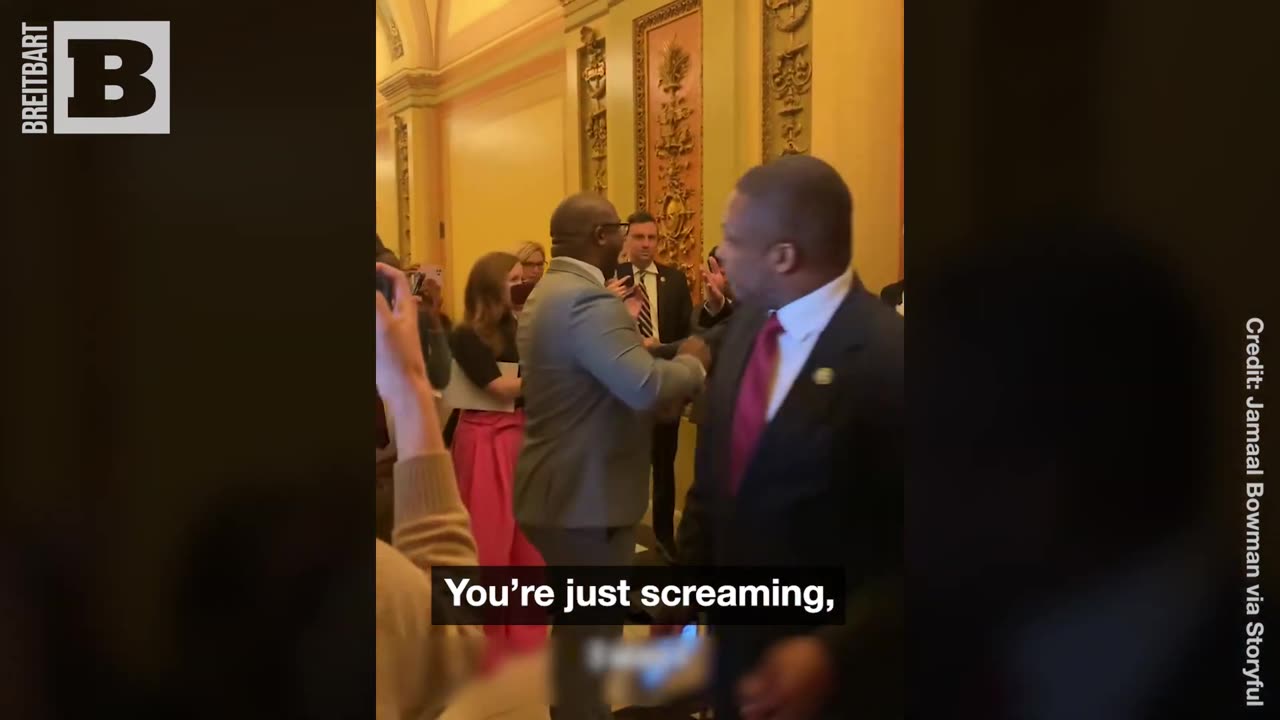 Massie Confronts Democrat SCREAMING About Gun Control