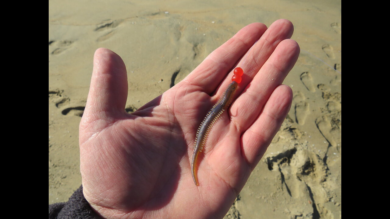 Surf Fishing: How to Use Grubs, Gulp! and Durascent Baits in the Surf