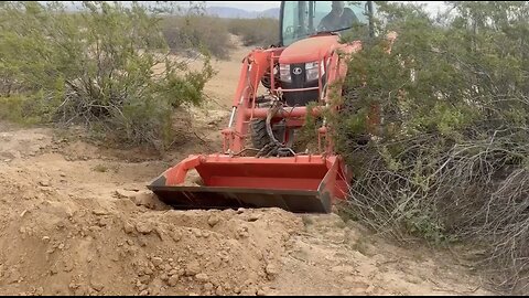 Potato Patch & Container Shuffle: Rainy Day Desert Moves!