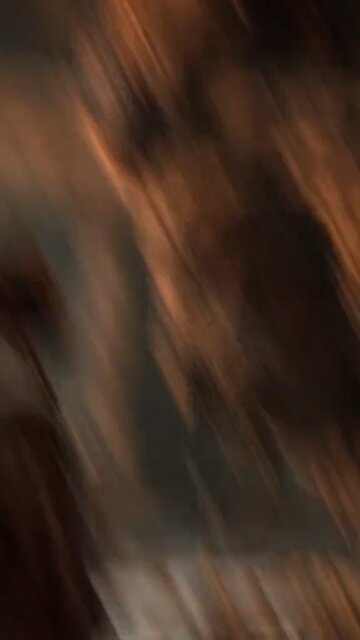 Daniel in the Lions cage using them as pillows