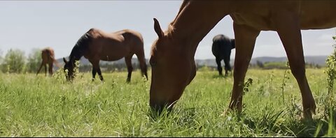Heartland Season 19 Episode 1 First Look