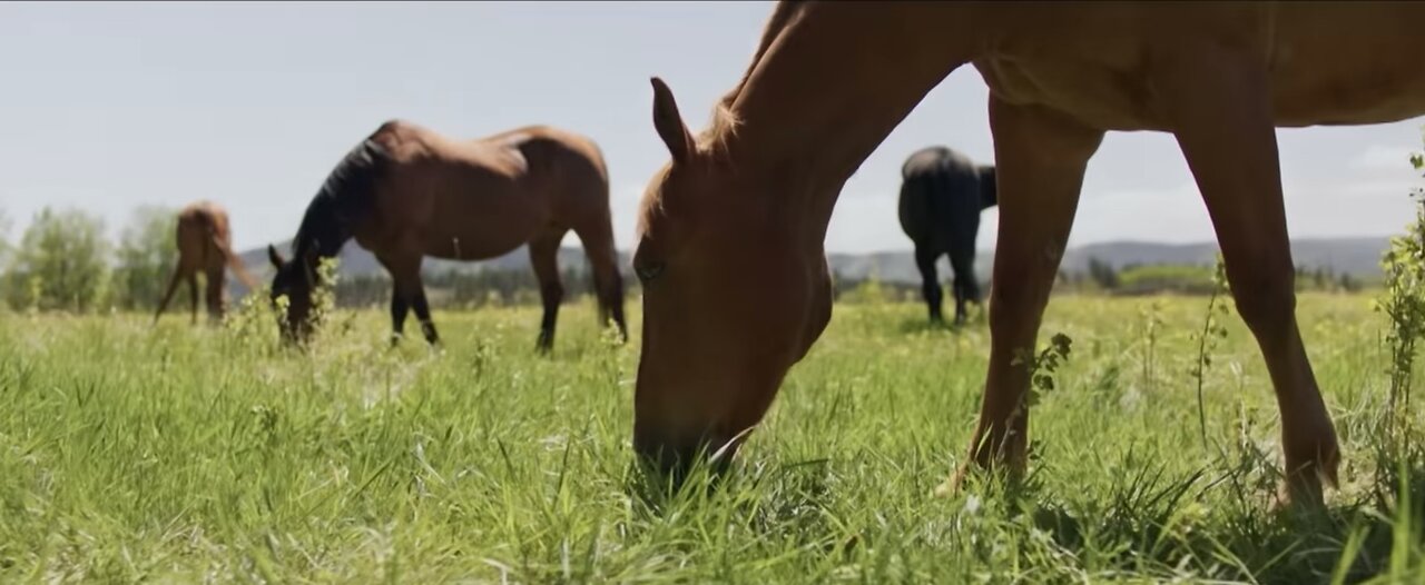 Heartland Season 19 Episode 1 First Look