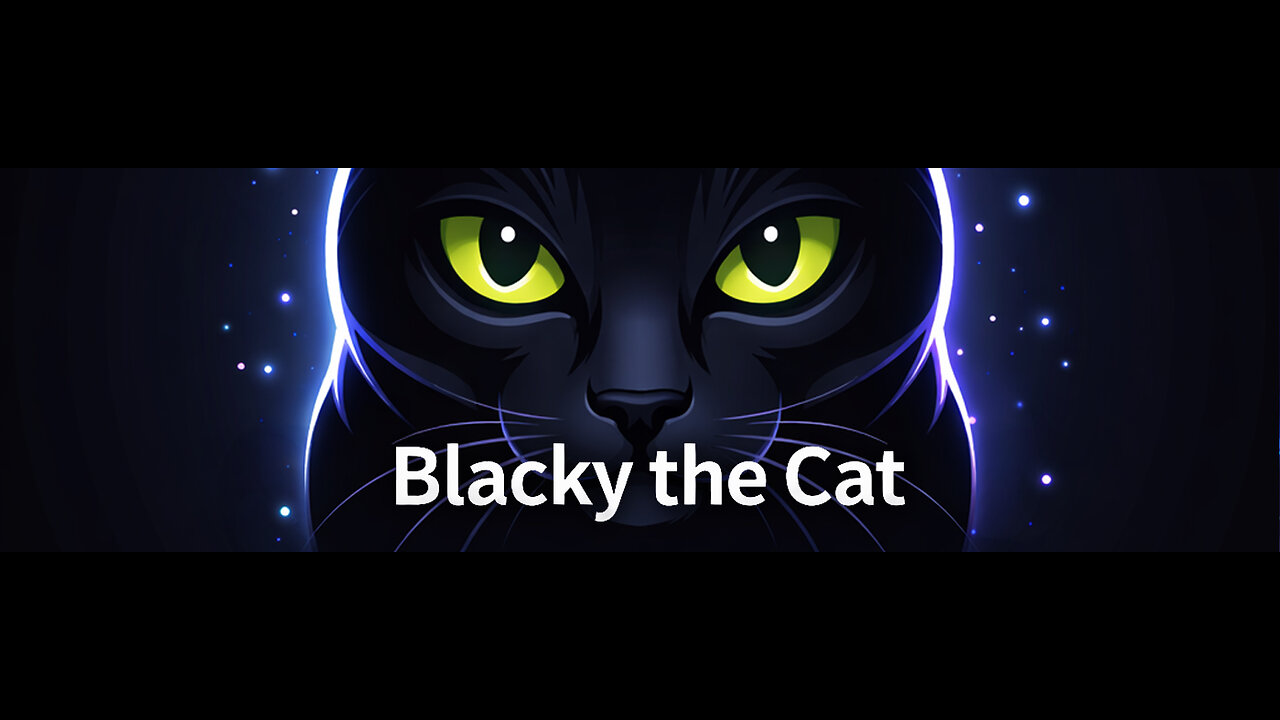 Blacky The Cat Video Collection