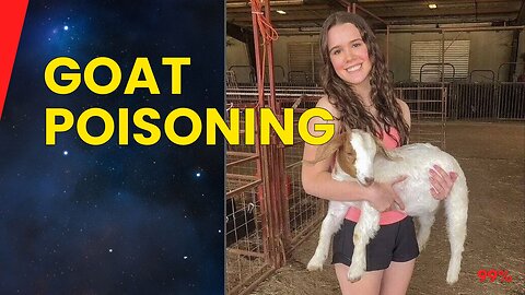Surveillance Footage Uncovers Shocking Goat Poisoning by High School Cheerleader!