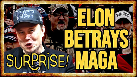 Elon Musk Sparks ALL OUT WAR With MAGA Base Over Immigrant Work Visas