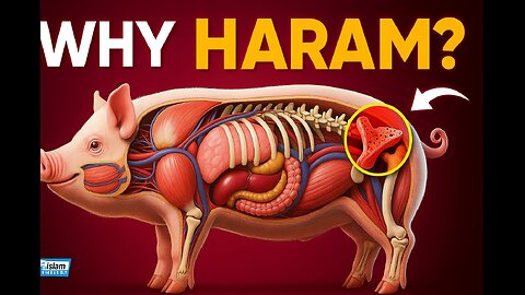 Why Muslims Can't Eat Pork