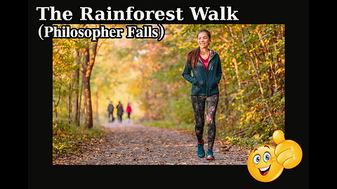 The Rainforest Walk (Philosopher Falls)