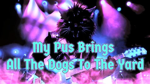 My Pus Brings All The Dogs To The Yard (Parody)