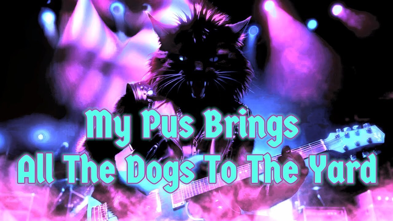 My Pus Brings All The Dogs To The Yard (Parody)